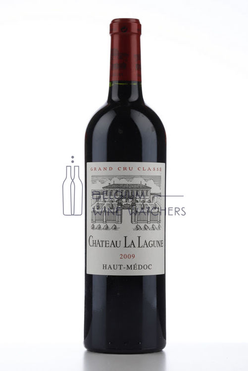 Picture of 2009 LA LAGUNE